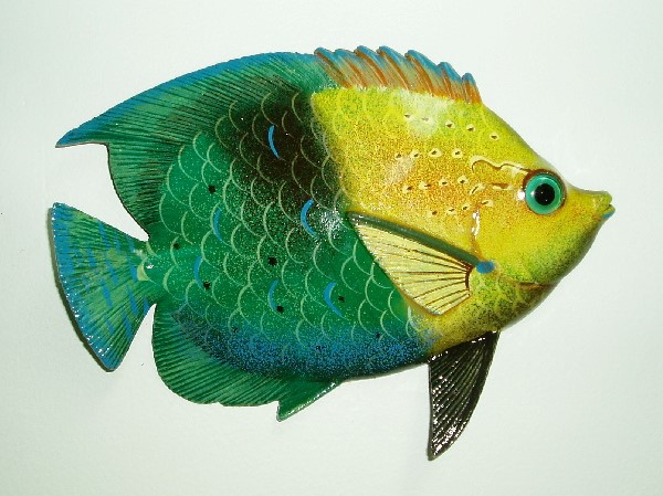 12in Yellow Head Wrasse Decor